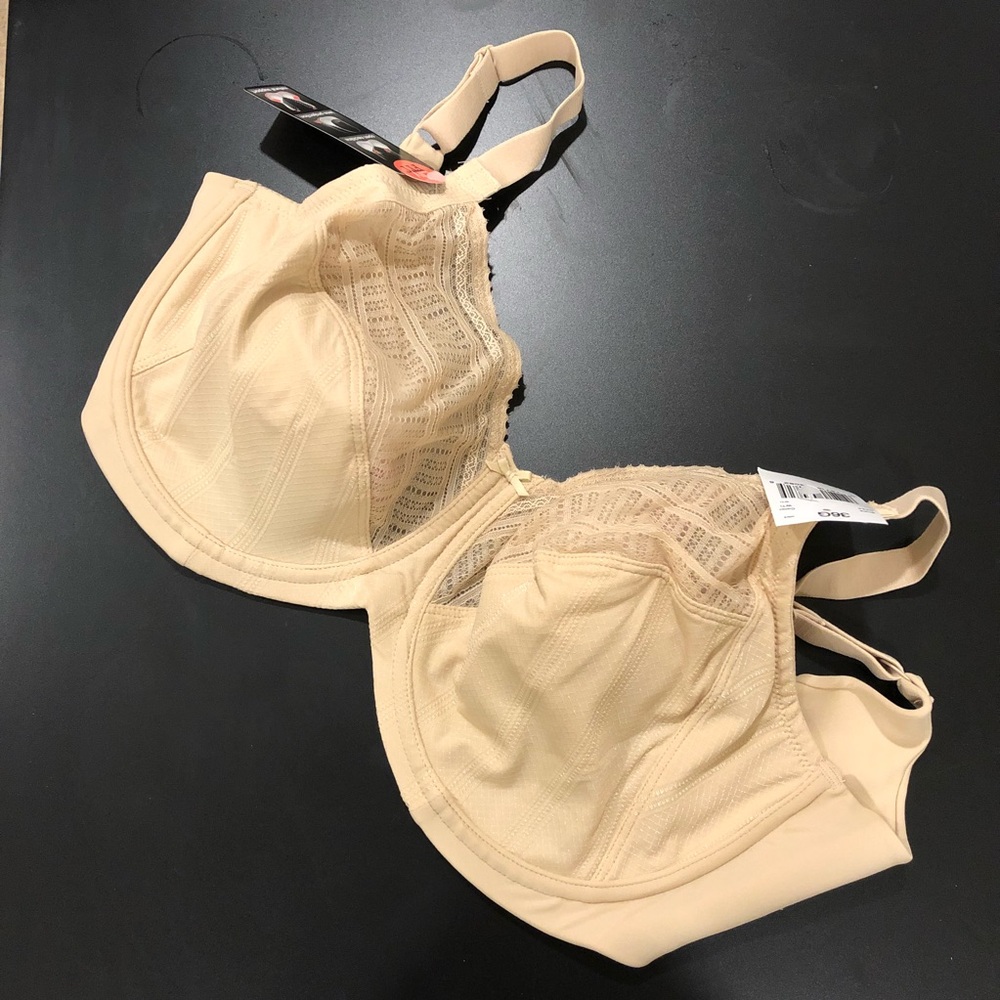 NWT The Lily Fir bra. 36G